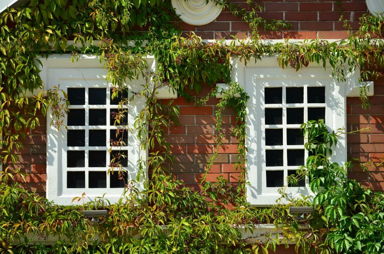 Renovating Barnet Windows