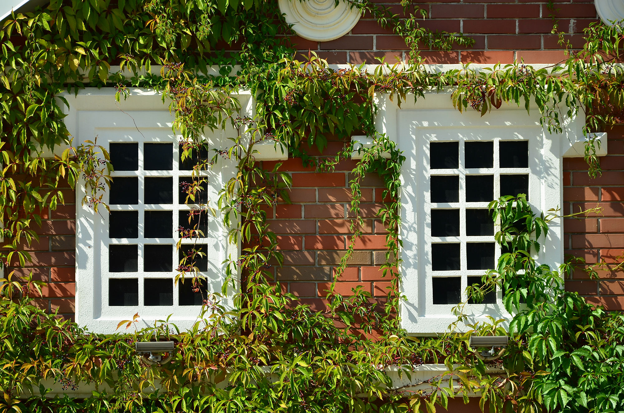 Barnet windows